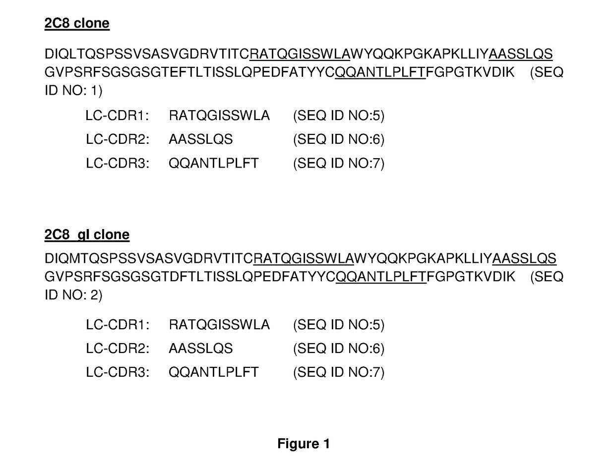 Anti-ctla-4 antibodies