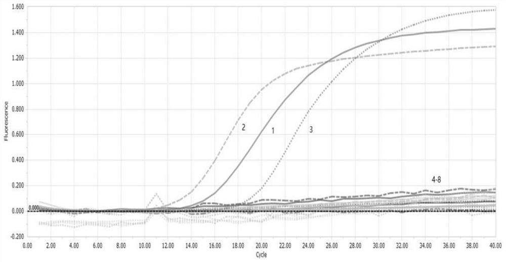 Multiplex fluorescent quantitative PCR method for detecting and identifying three food-borne pathogenic bacteria