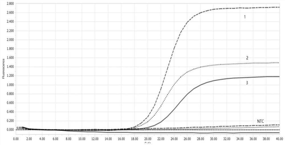 Multiplex fluorescent quantitative PCR method for detecting and identifying three food-borne pathogenic bacteria