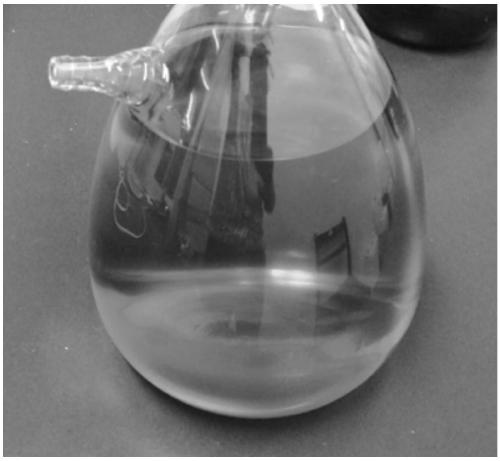 Method of separating and purifying dihydromyricetin from ampelopsis grossedentata