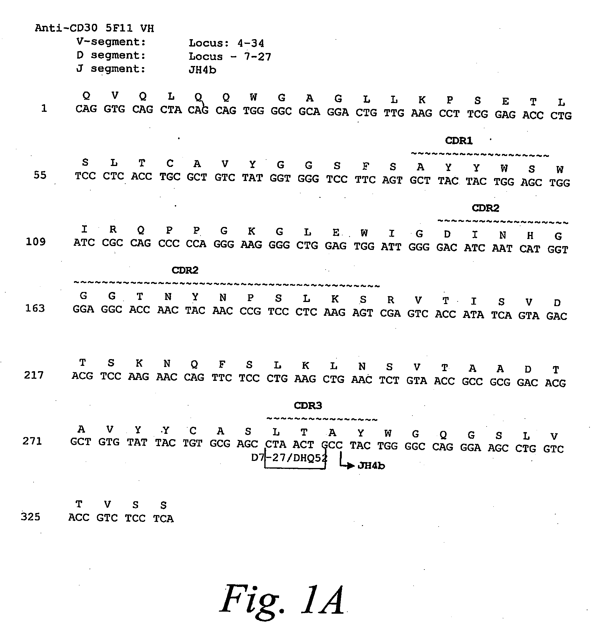 Monoclonal Antibodies Against CD30 Lacking in Fucosyl Residues