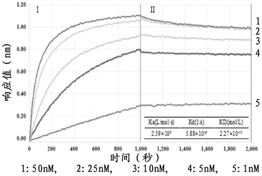 Targeted immunosuppressant TCABCD59 for preventing and treating infectious inflammation