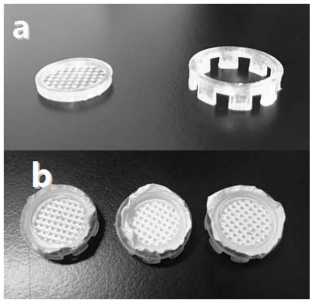 A three-dimensional culture method of tumor stem cells