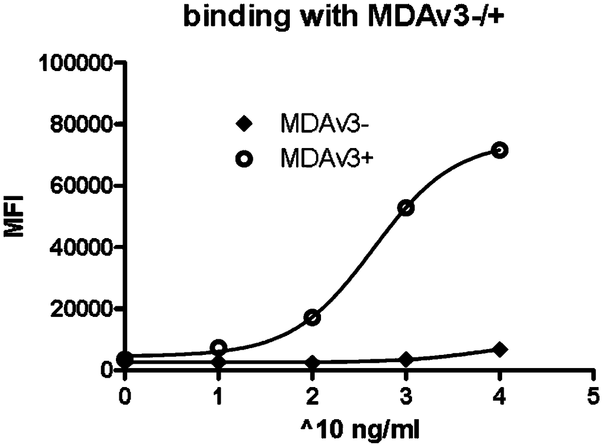 Multifunctional fusion protein for type III epidermal growth factor receptor deletion-mutant receptor (EGFRvIII), and application of multifunctional fusion protein