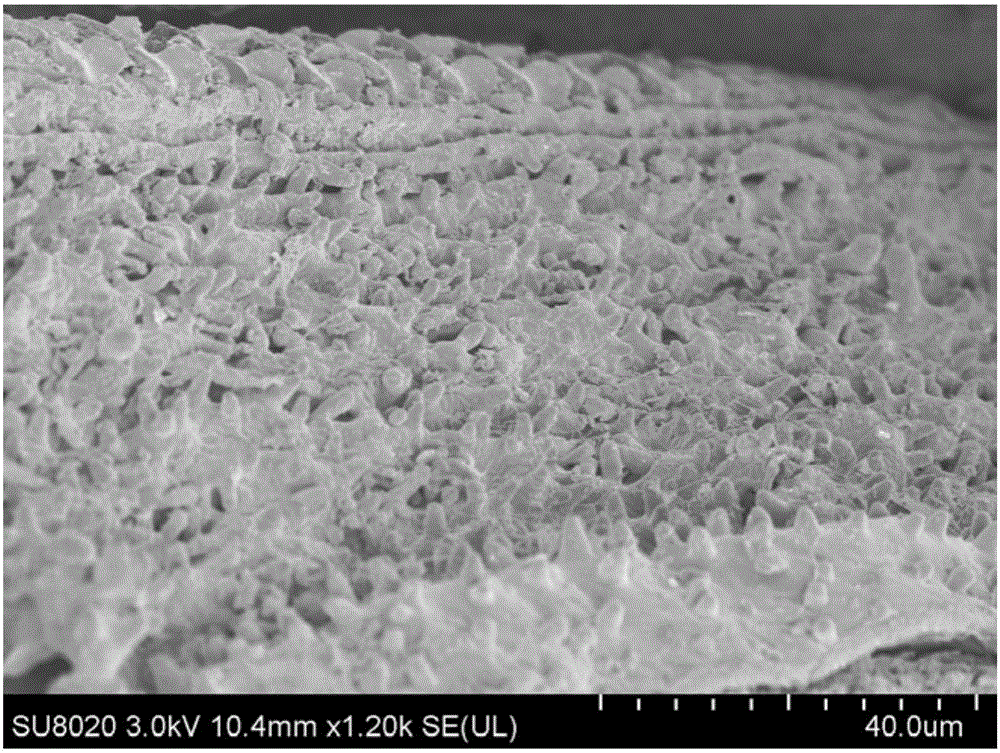 Method for preparing Fe/C composite porous structure material by using limonite