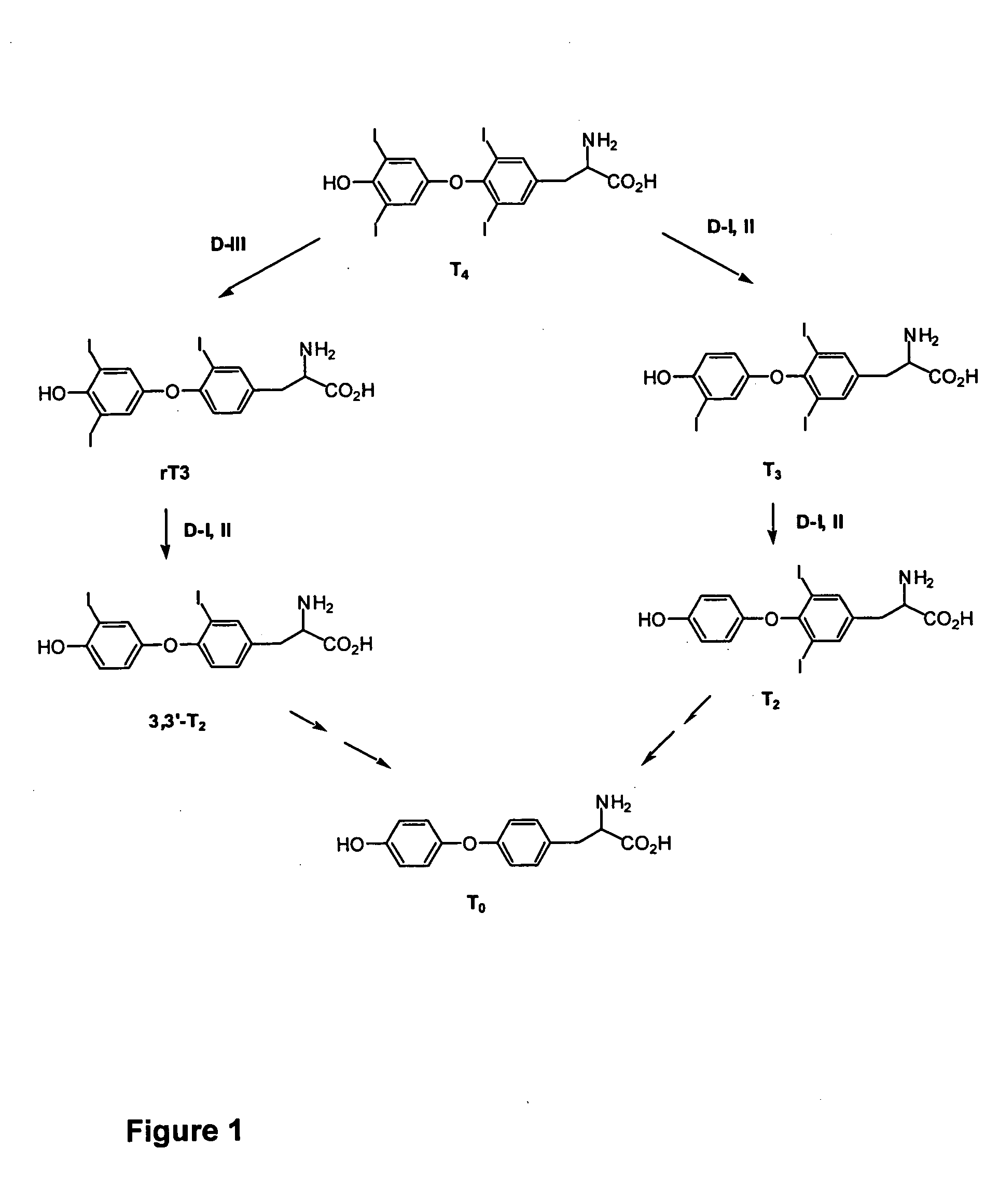 Thyronamine derivatives and analogs and methods of use thereof