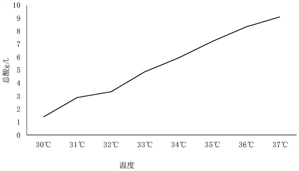 Chlorella, seaweed and sweet potato leaf composite enzyme and preparation method thereof