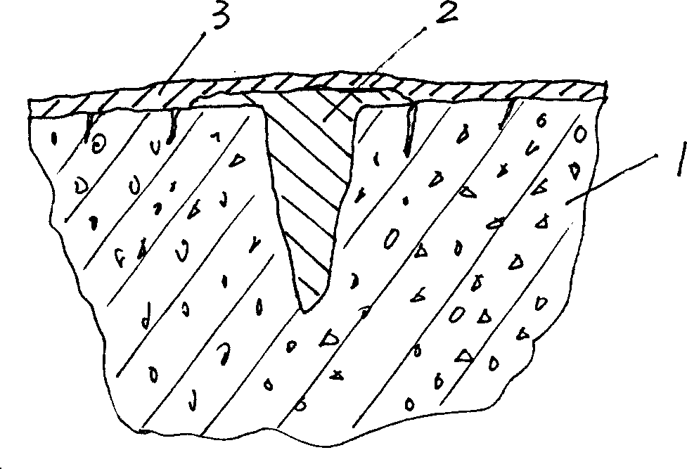 Method for repairing crack on asphalt road pavement