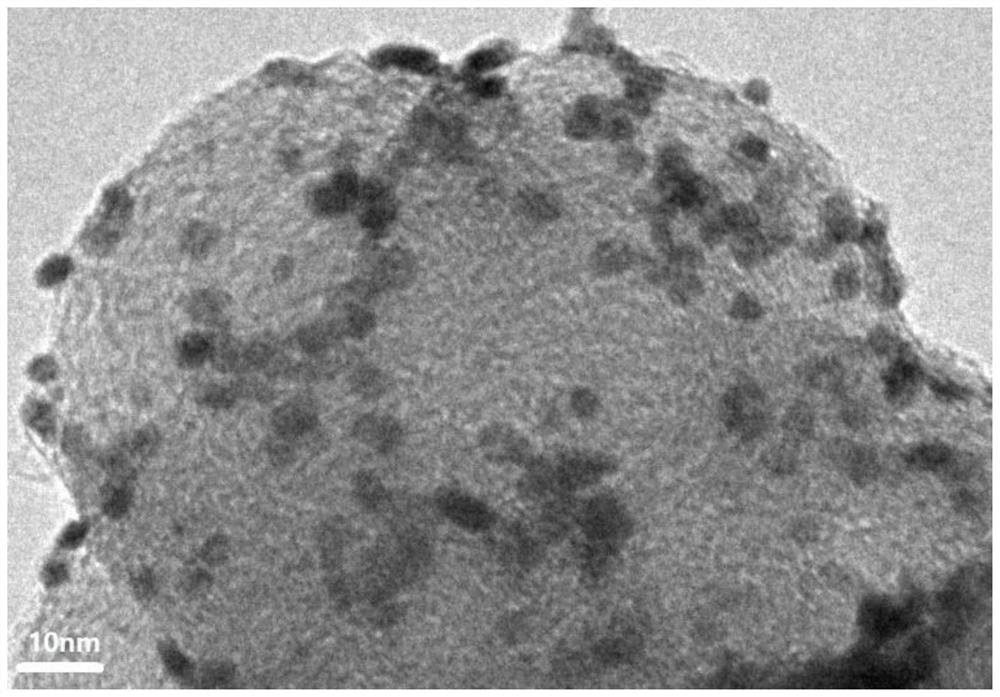 Anti-antipolar catalyst for fuel cell and preparation method and application of anti-antipolar catalyst