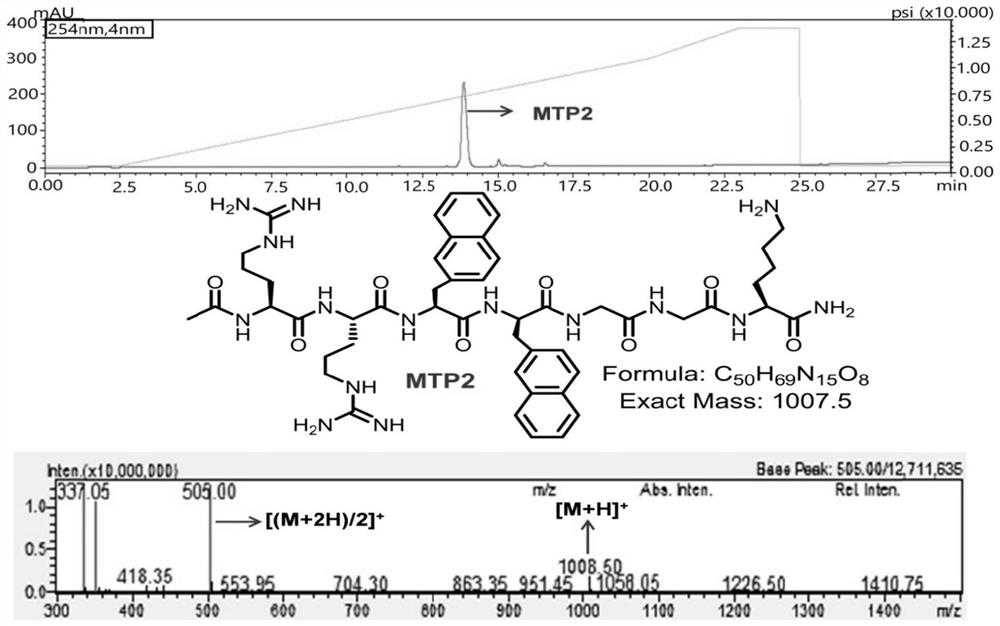 Polypeptide for carrying out targeting on mitochondria, and preparation method and application of polypeptide