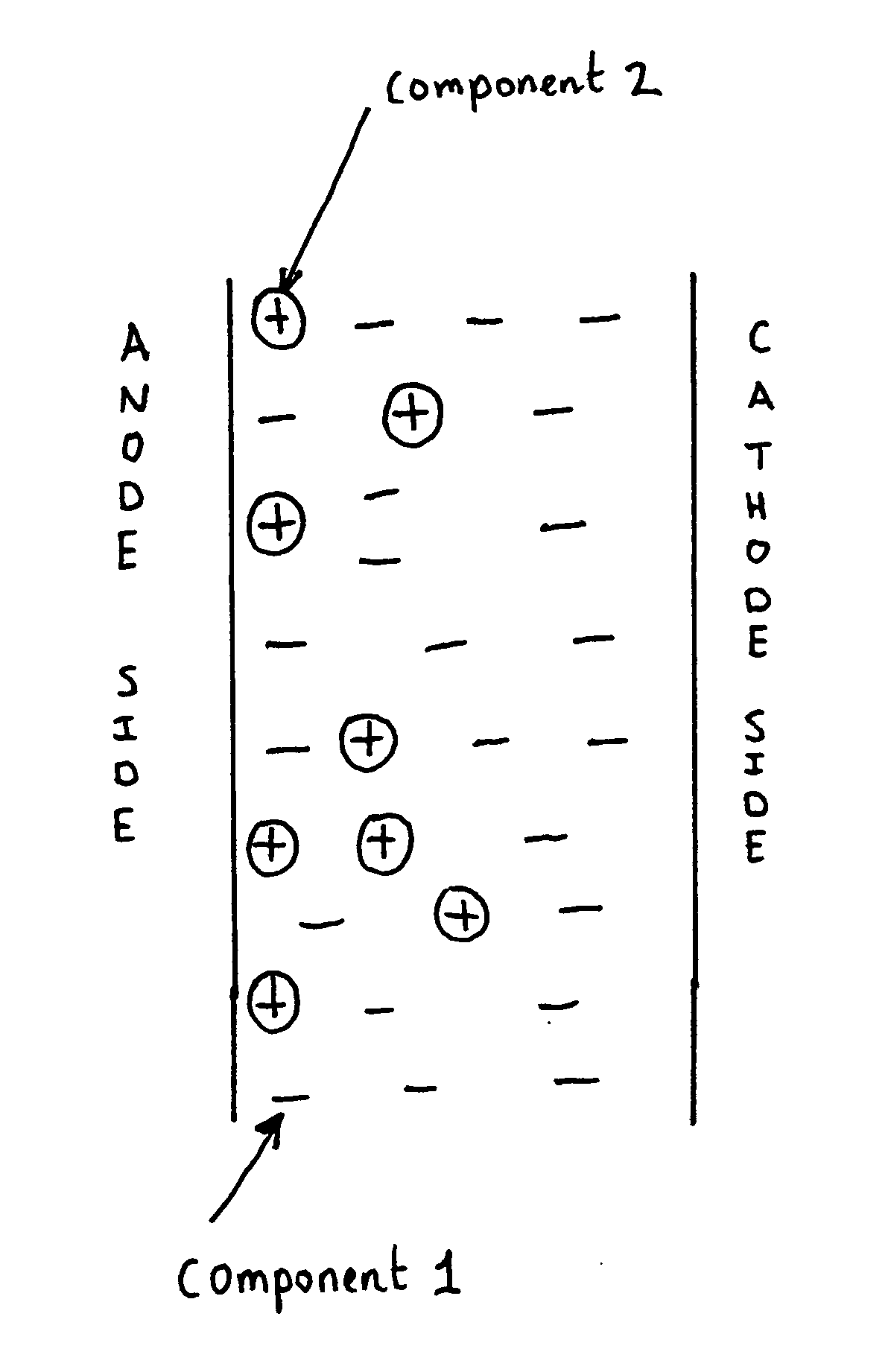 Polymer catalyst composite as a membrane electrode assembly in Direct Methanol Fuel Cells