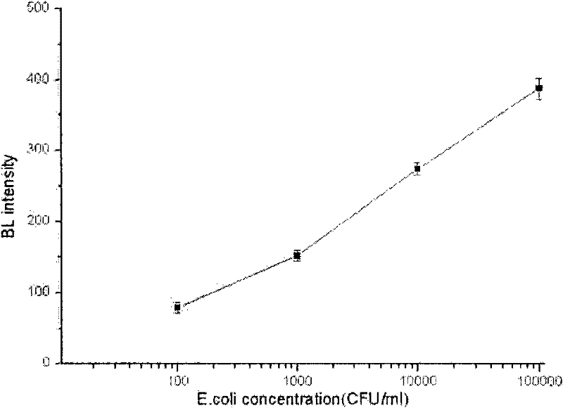 Detection method and detection kit for detecting special pathogenic bacteria by bioluminescence