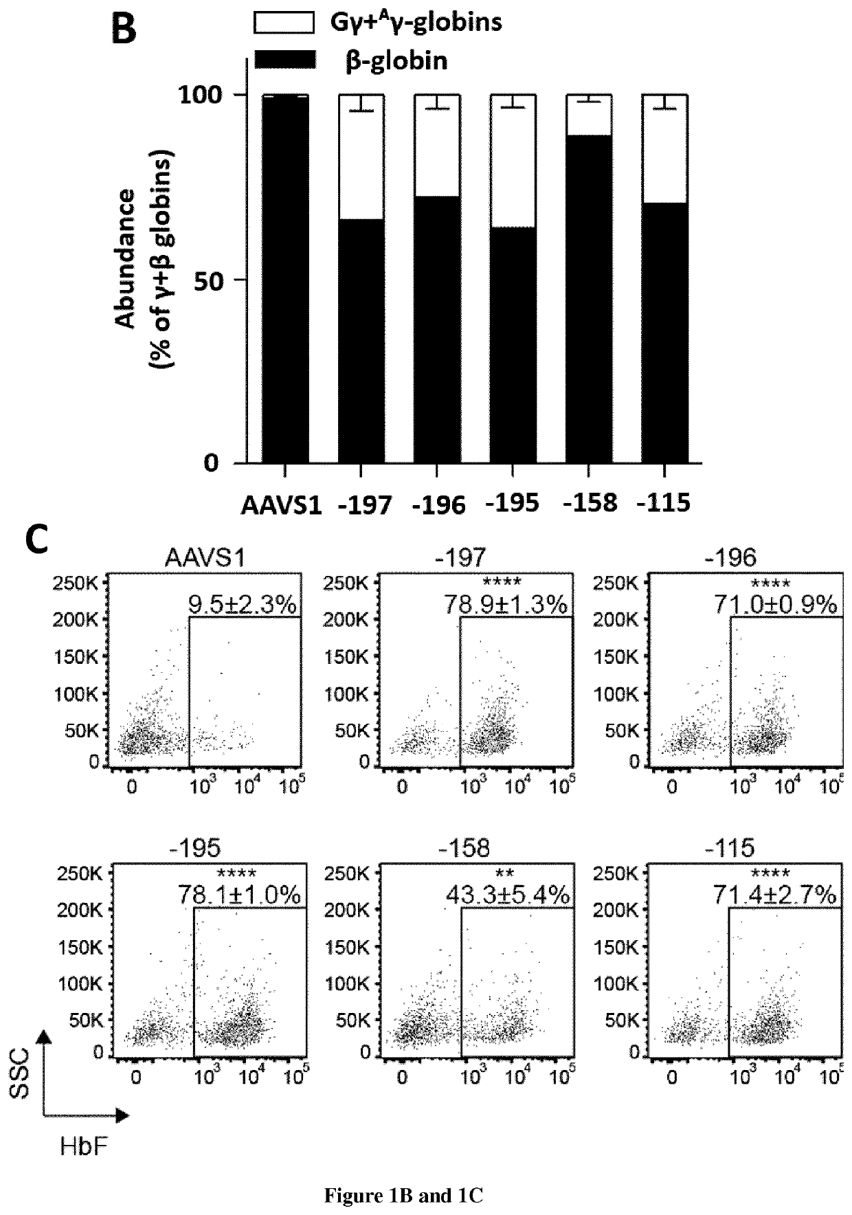 Methods for increasing fetal hemoglobin content in eukaryotic cells and uses thereof for the treatment of hemoglobinopathies