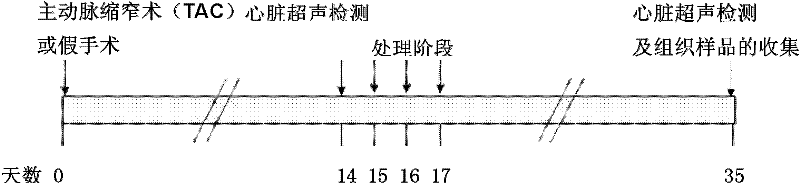 Composition for inhibition of expression of miR-27b, medicines containing the same, and use for the same