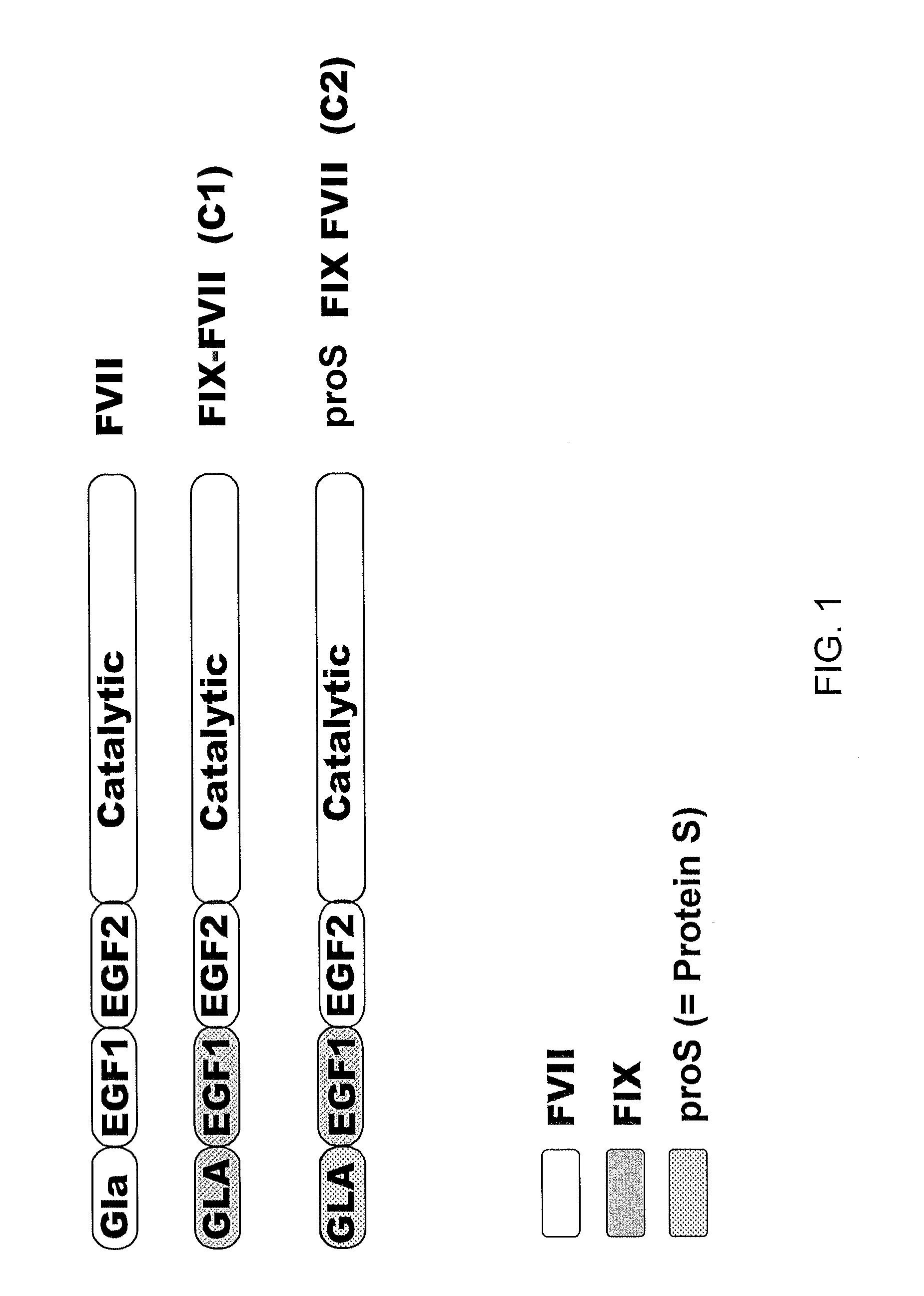 Chimeric factor vii molecules