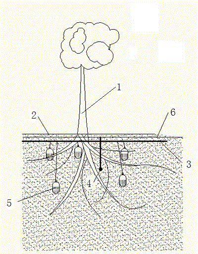 Intelligent infiltration and irrigation system for orchard forest belt