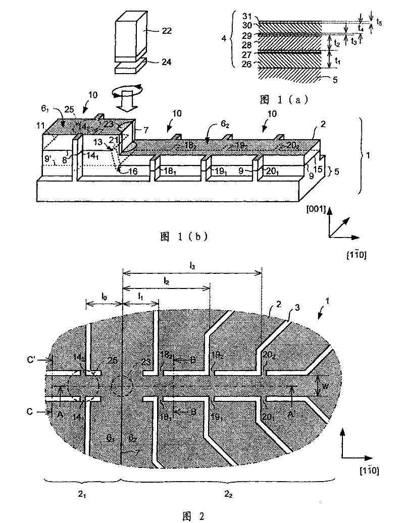 Spin Polarized Carrier Devices