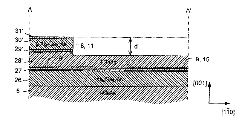 Spin Polarized Carrier Devices