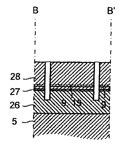 Spin Polarized Carrier Devices