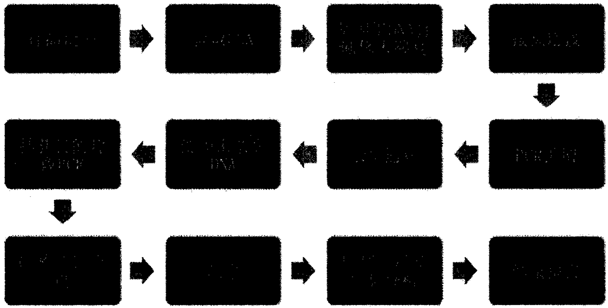 MMACHC (methylmalonic academia-combined homocysteine) and MTHFR (methylenetetrahydrofolate reductase) gene mutation detection kit