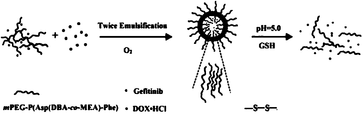 Nano vesicles with pH and reduction dual sensitivity as well as preparation method and application thereof