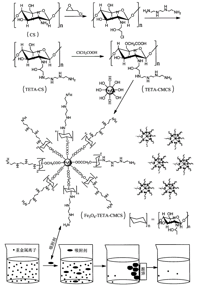 Preparation method of polyamine compound-modified magnetic chitosan and application thereof