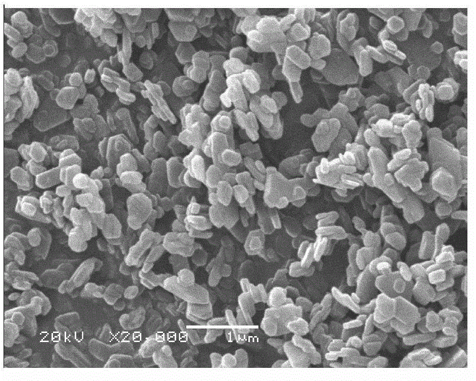 Method for preparing magnesium hydroxide flame retardant by microchannel precipitation-hydrothermal process