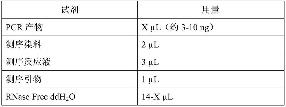 Simplex methylmalonic acidmia gene mutation detection primer pair and kit