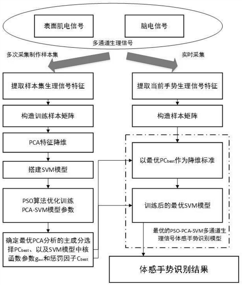 A multi-channel physiological signal somatosensory gesture recognition method based on pso-pca-svm