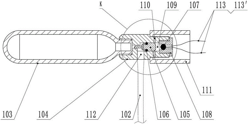 Water-disaster grapple shot and throwing device thereof