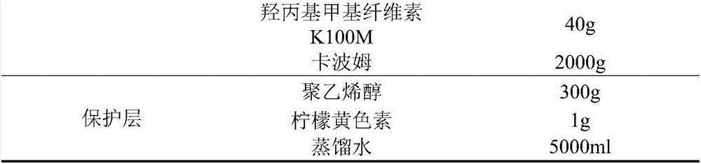 Double-layer sticking sheet for treating canker sore