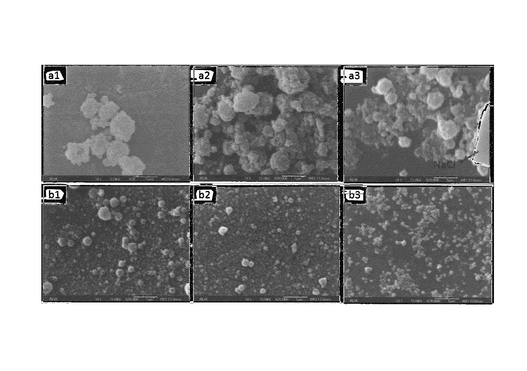 Method for preparation of well-dispersed, discrete nanoparticles by spray drying techniques