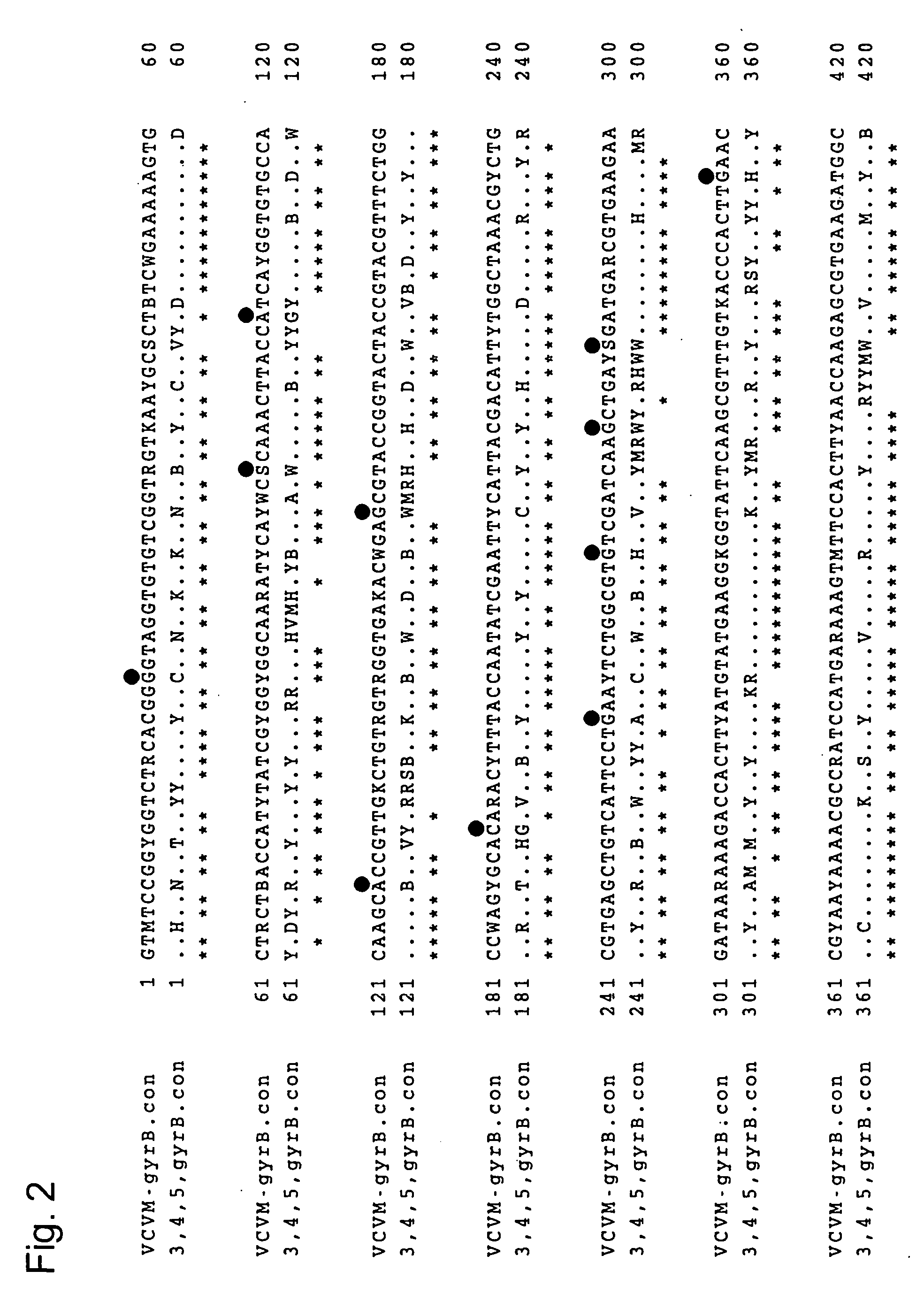 Primer and probe for detecting vibrio cholerae or vibrio mimicus and detection method using the same