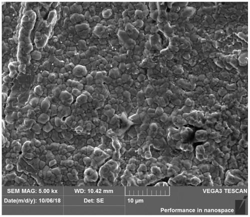 Preparation method of molybdenum-based material surface protection coating