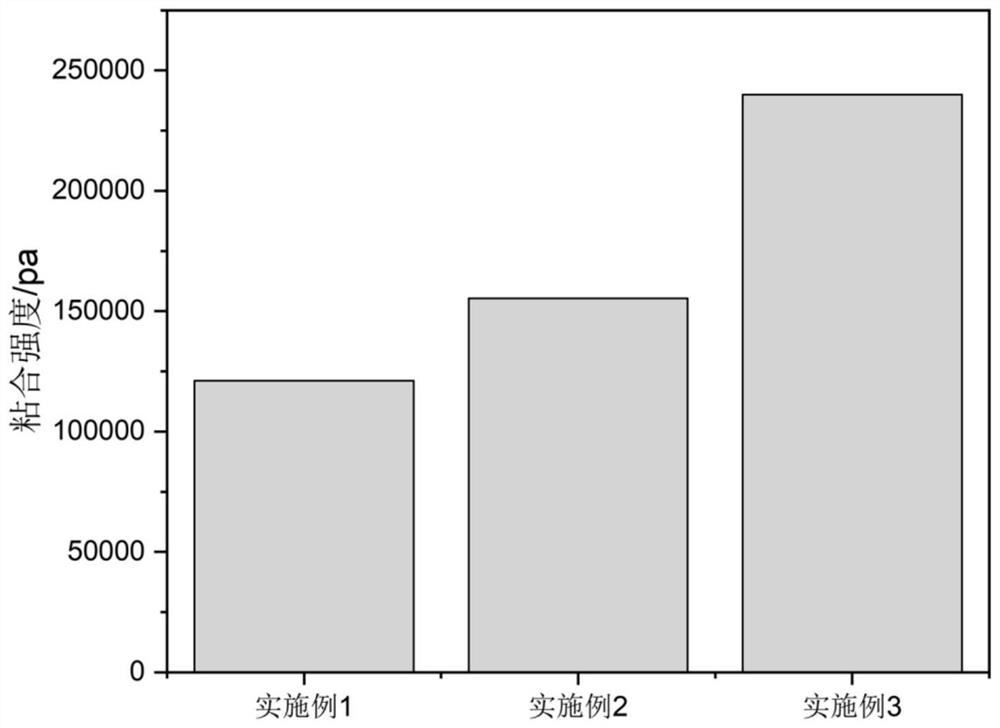 Chitosan-based nanofiber wound dressing with adhesiveness and antibacterial property and preparation method of chitosan-based nanofiber wound dressing