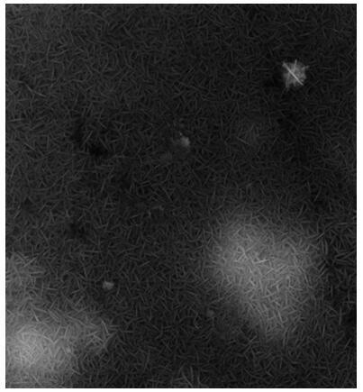 Method for synthesizing 4A molecular sieve by double crystallization