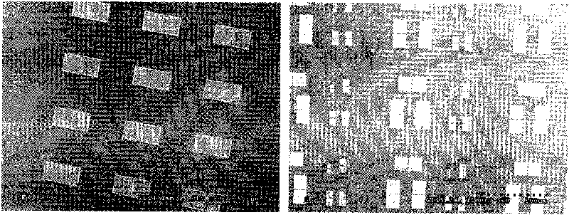 Method for preparing arrayed organic nanoparticles