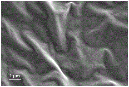 Preparation method of two-dimensional laminar covalent organic framework membrane