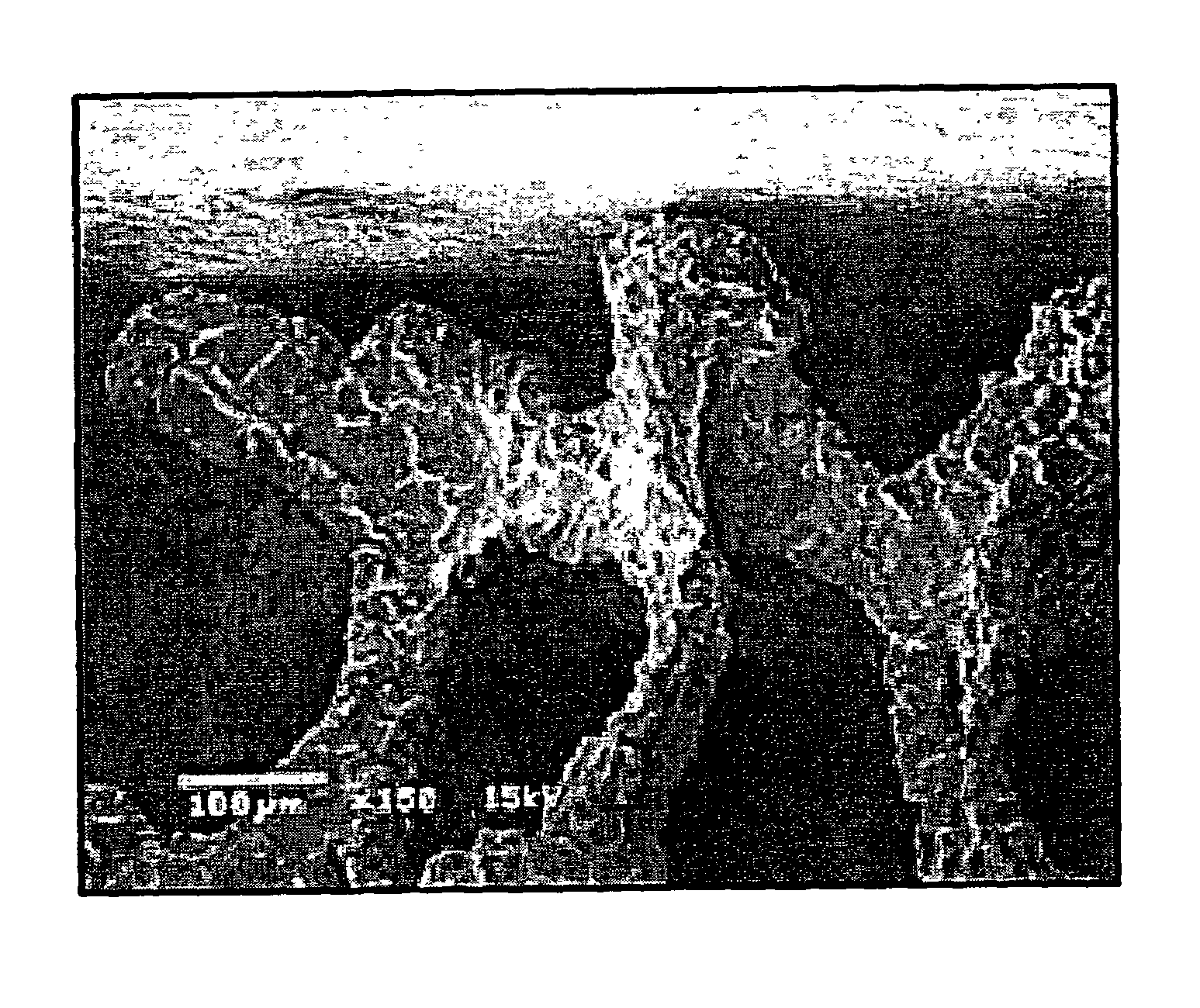 Flow fields for fuel cells