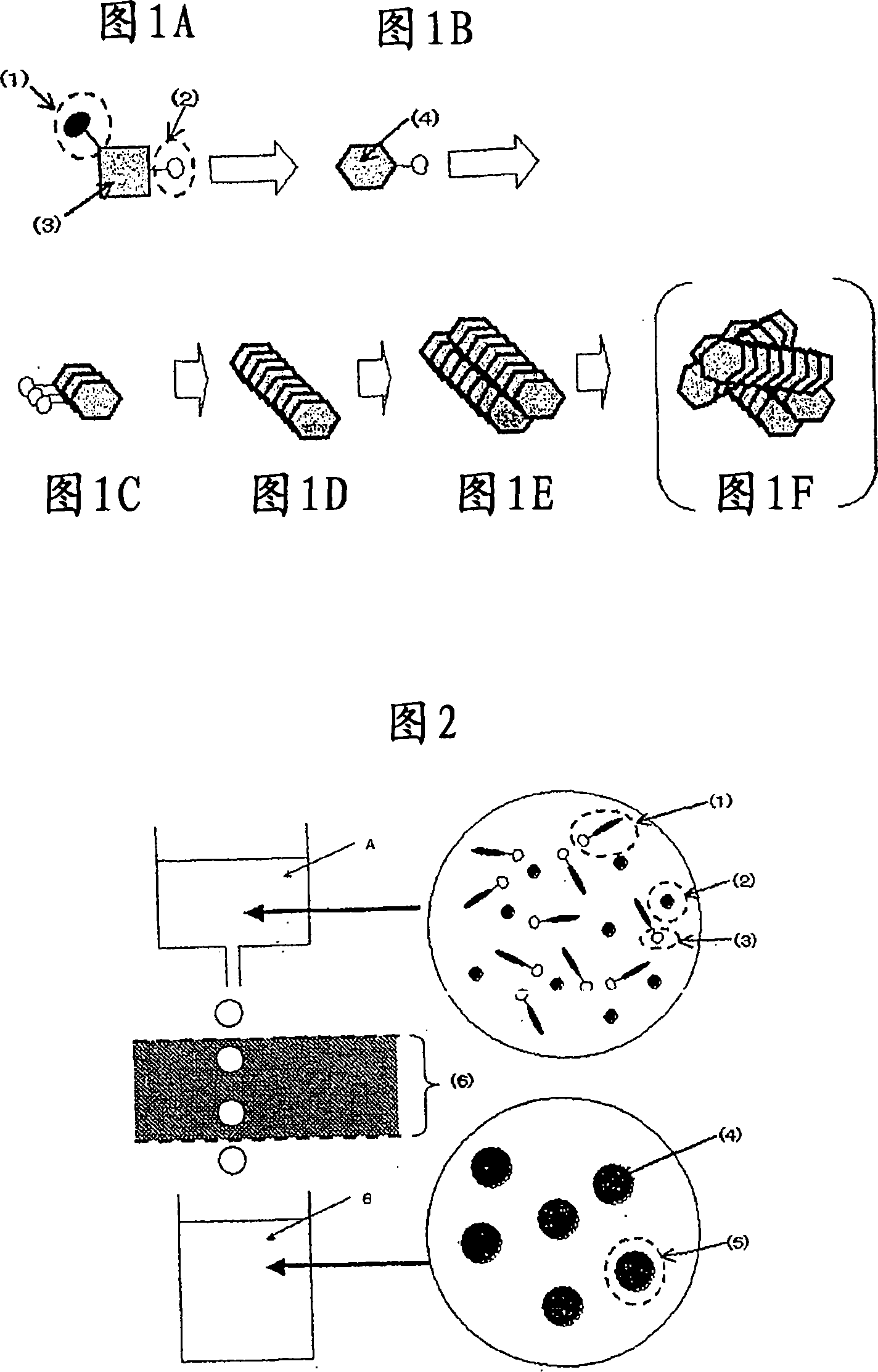 Pigment, method for producing pigment, pigment dispersion, method for producing pigment dispersion, recording ink, recording method, and recorded image