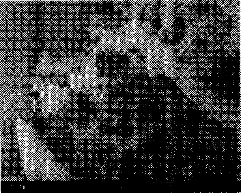 Vapour deposition in situ reaction method for preparing carbon nanotube reinforced aluminium matrix composite material