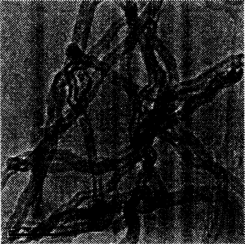 Vapour deposition in situ reaction method for preparing carbon nanotube reinforced aluminium matrix composite material