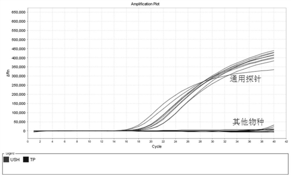 A kind of fluorescent pcr detection kit and application of differentiating dendrobium officinale