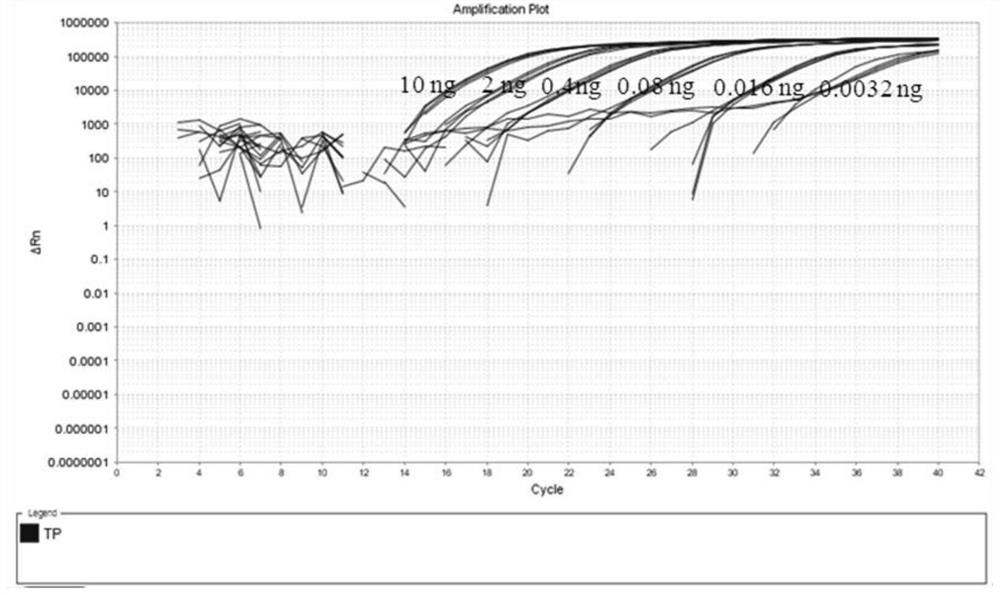 A kind of fluorescent pcr detection kit and application of differentiating dendrobium officinale