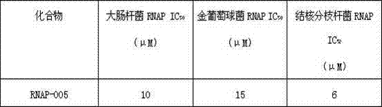 Anti-drug resistant tuberculosis compound targeting bacteria RNA polymerase