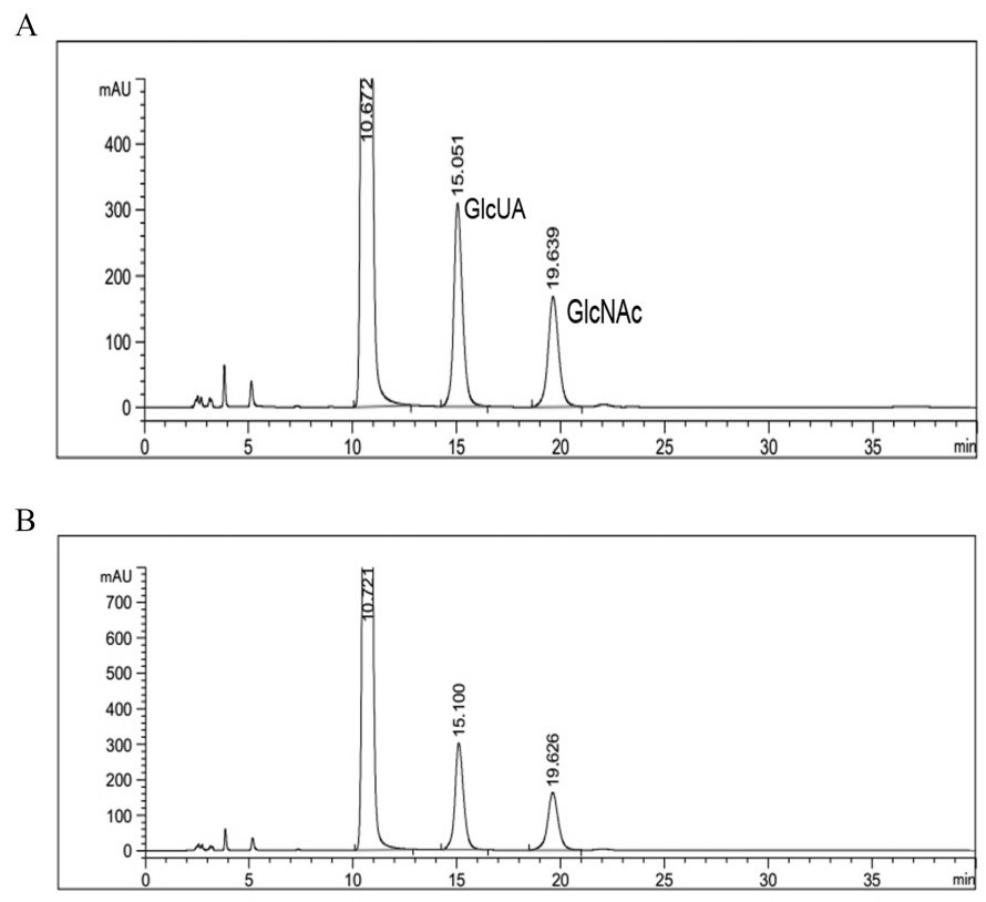 Polysaccharide nano composite material and preparation and application thereof