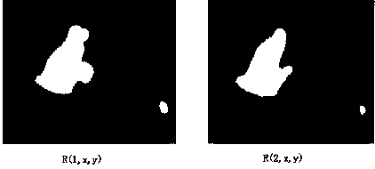 Method for fire identification through infrared and visible-light video image fusion