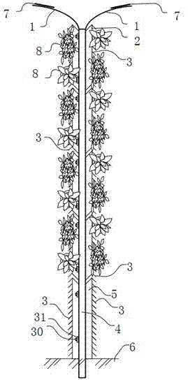 Plant noise barrier