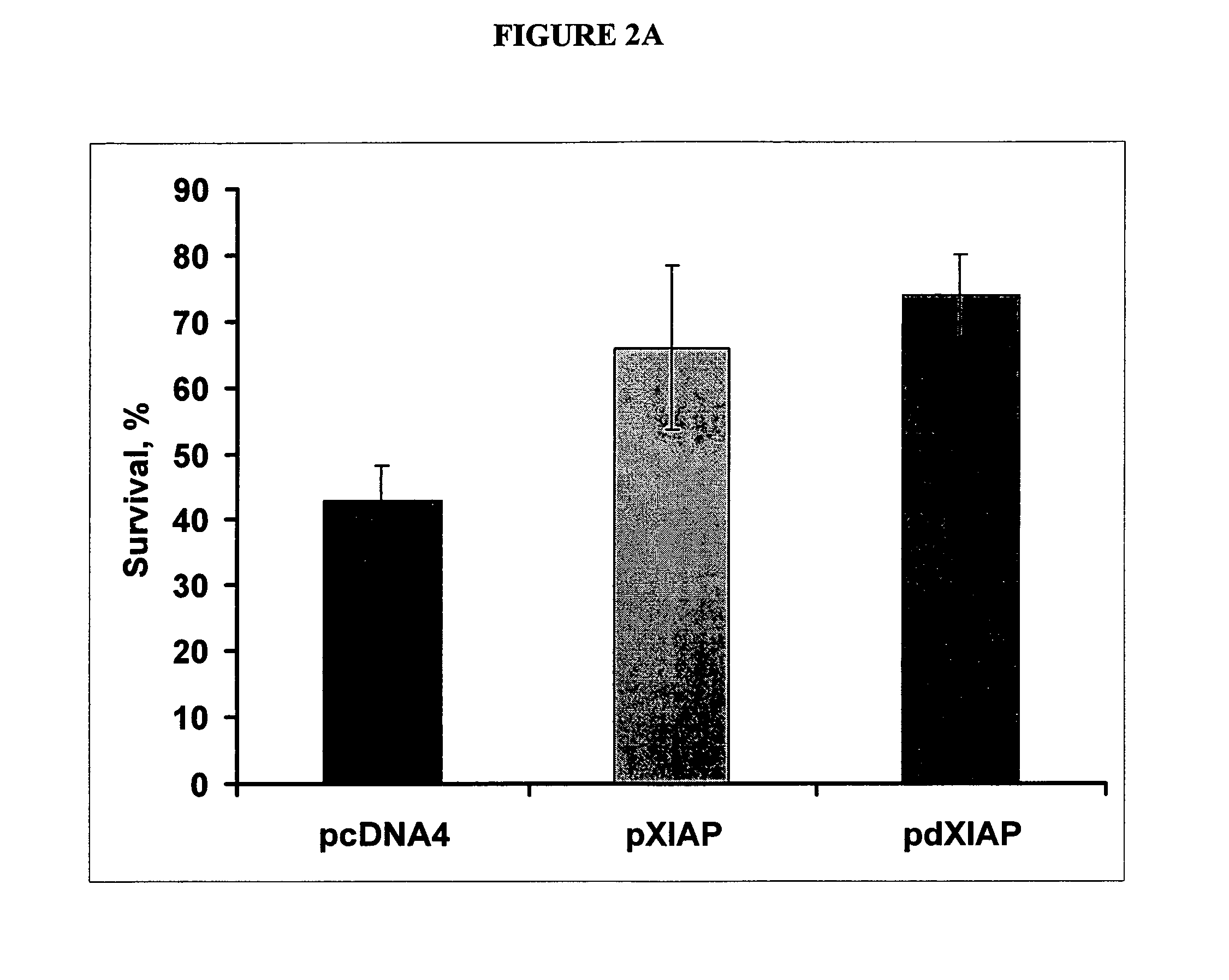 Use of apotosis inhibiting compounds in degenerative neurological disorders