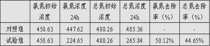 Bacillus subtilis strain and microecological preparation and application